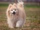 Image by Purplehorse from Pixabay