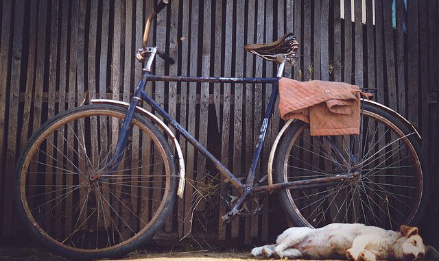 Hund und Fahrrad - nicht immer ein harmonisches Verhältnis | Bild von SitX auf Pixabay