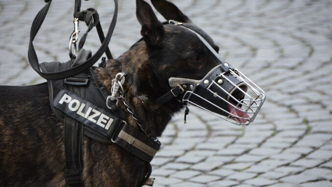 police-1321255_1280 Mit Maulkorb wäre es nicht passiert | Bild von Wolfgang van de Rydt auf Pixabay