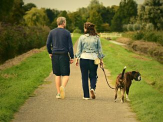 Was passiert, wenn die glücklichen Zeiten vorbei sind? | Bild von 👀 Mabel Amber, who will one day auf Pixabay