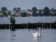 Wieder friedlich: Der Müggelsee | Bild von Lumiukko auf Pixabay