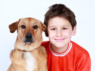 Hund beißt Kind nicht | Bild von Kris auf Pixabay