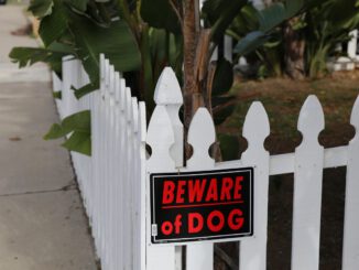 Wer lesen kann, ist klar im Vorteil | Bild von Jeremy Root auf Pixabay