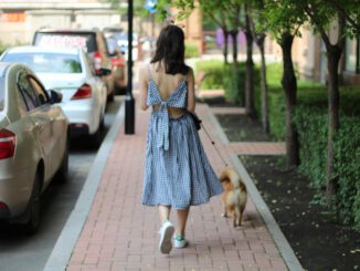 Das kann in Arbeit ausarten | Bild von gearyuan auf Pixabay