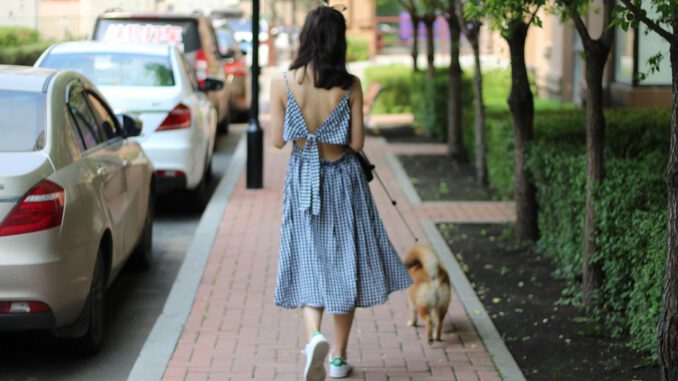 Das kann in Arbeit ausarten | Bild von gearyuan auf Pixabay