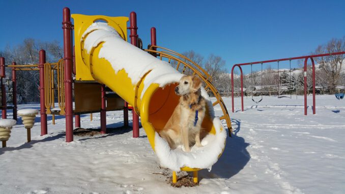 Nicht ungefährlich | Bild von Kim Rollins auf Pixabay